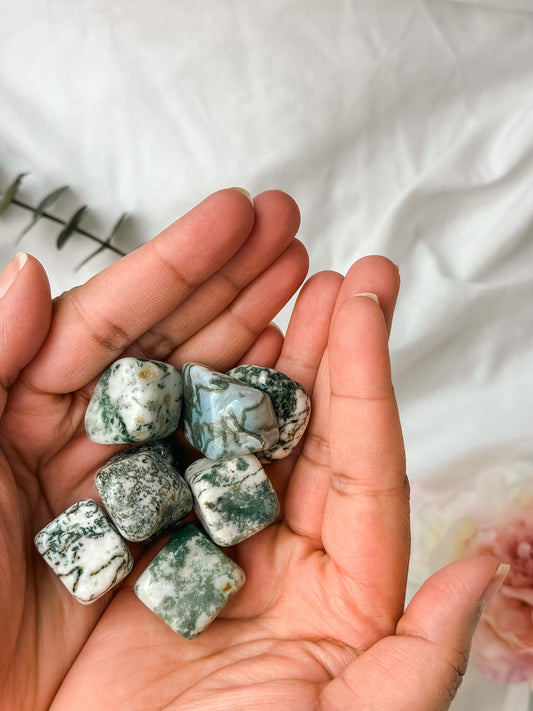 TREE AGATE TUMBLES